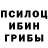 ГАШИШ Изолятор Riley McGill