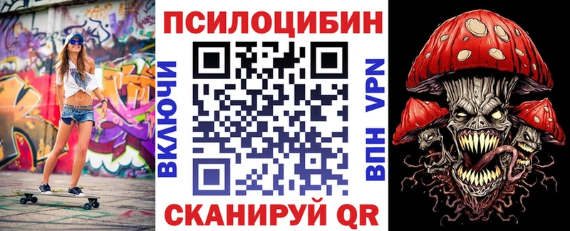 darknet наркотические препараты  Гремячинск  Псилоцибиновые грибы прущие грибы  гидра сайт 